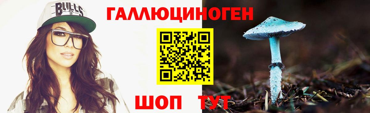 Псилоцибиновые грибы мицелий Грязи