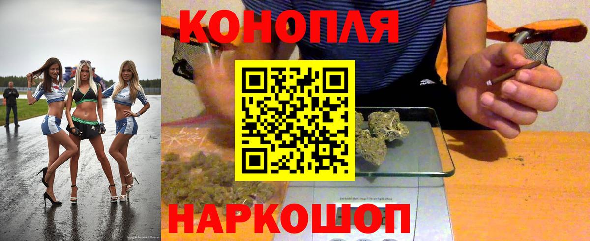Каннабис семена  Вход с VPN  Марихуана сатива  Марихуана сатива  Грязи 